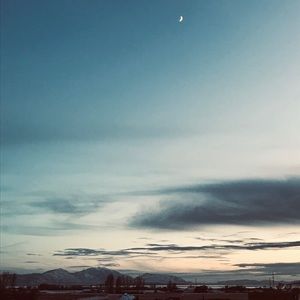 Meet your Posher, Suzanne